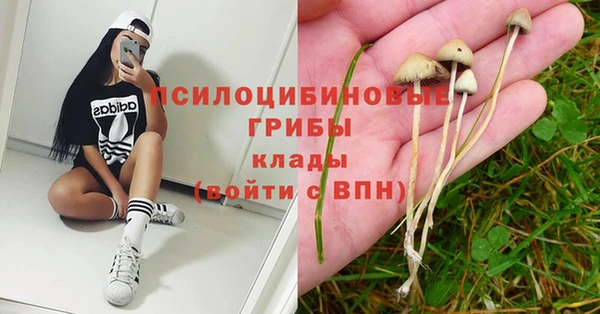 MDMA Алексеевка