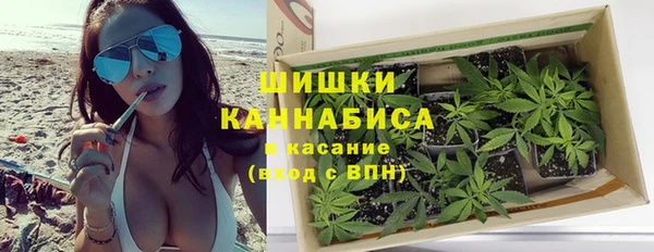 шишки Алексин